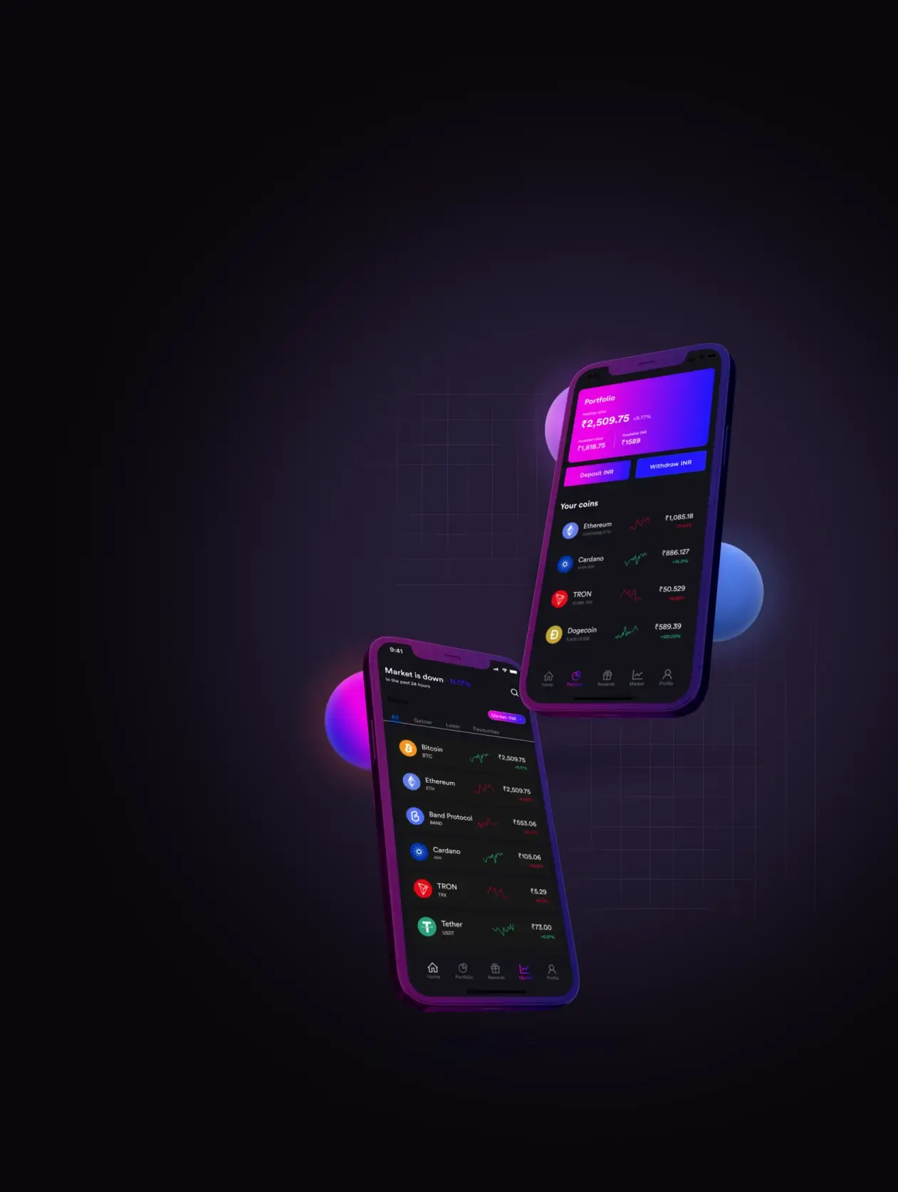 Bitcoin Evolution V3 - Login Process